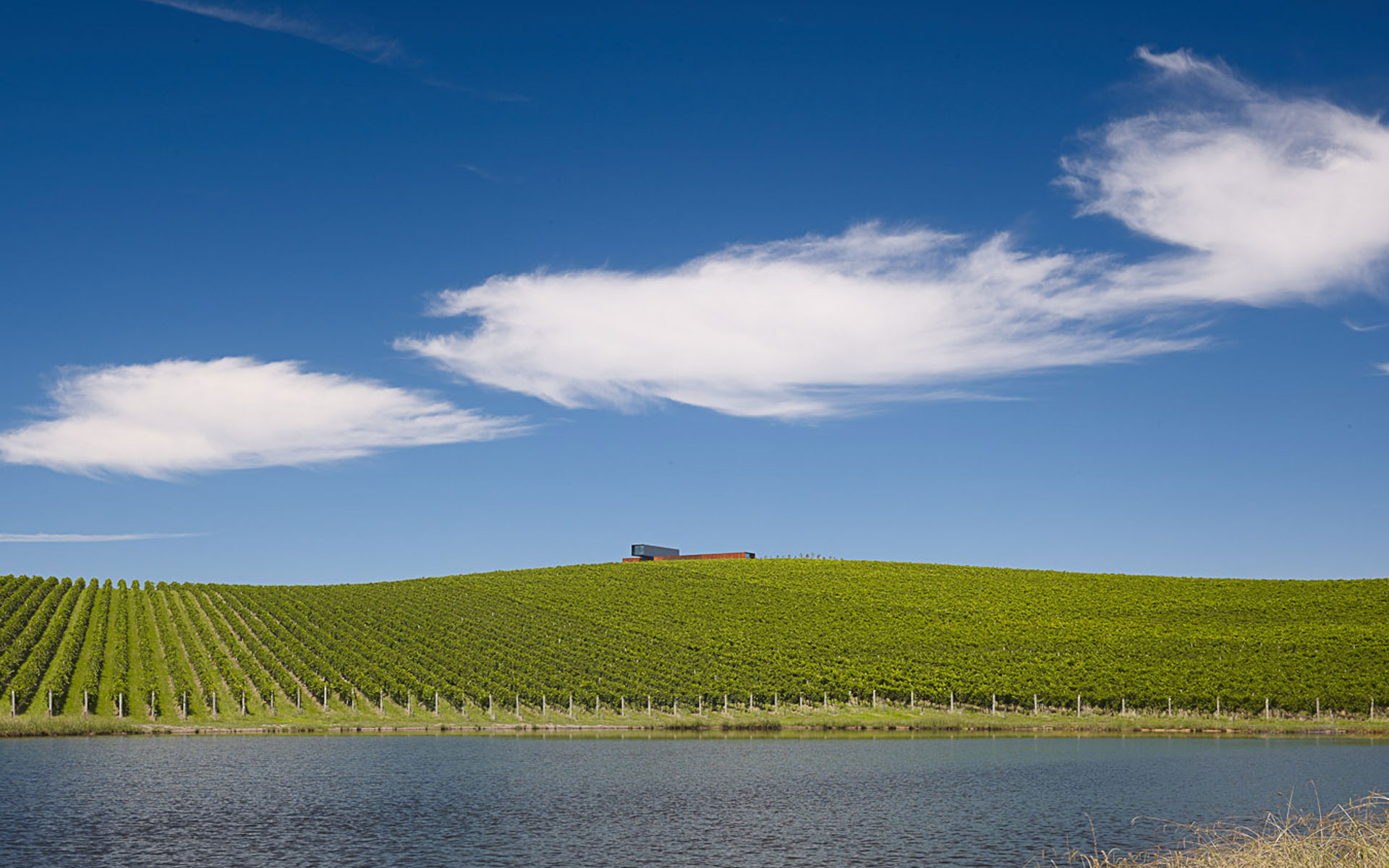 View Hill House + Vineyard, Yarra Valley, Victoria, Australia