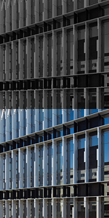 Walter + Eliza Hall Institute Melbourne Australia